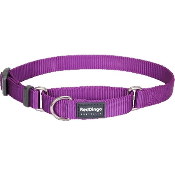 Red Dingo Martingale Dog Collar Classic Purple, Medium RE437182